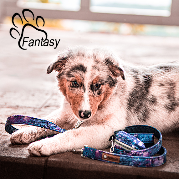 fantasy